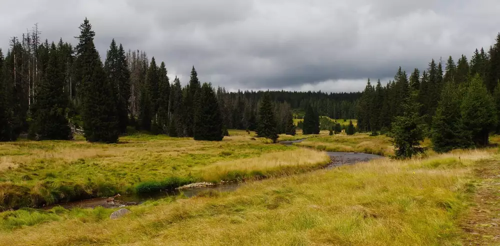 Nové Díly Policie Modrava